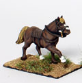 Medieval Warhorse 1